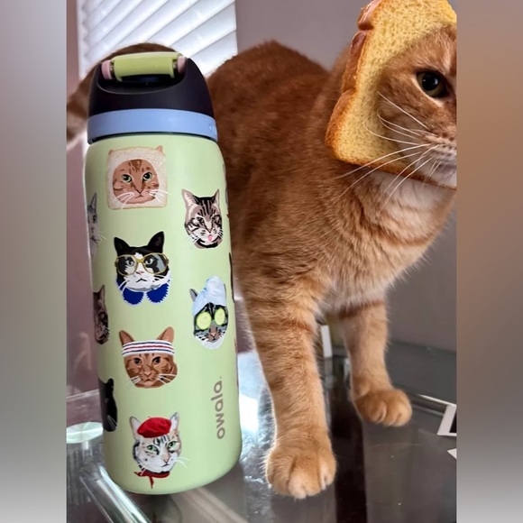 Cat Owala Tumbler Bottle 32oz Urban Outfitters Exclusive Catwala Water New tag - Picture 3 of 4